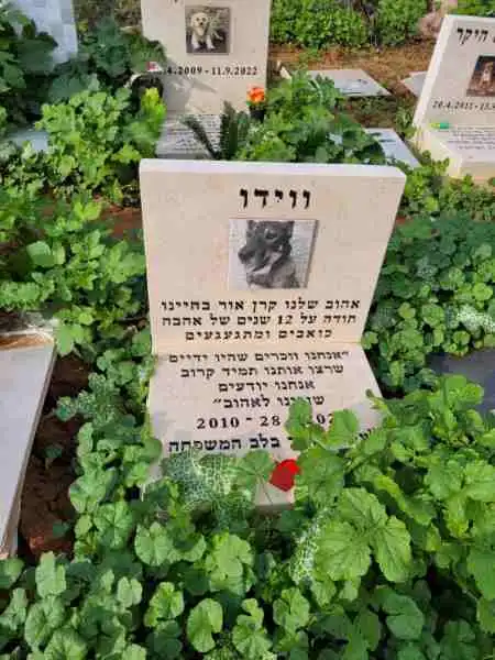 בית קברות לכלבים