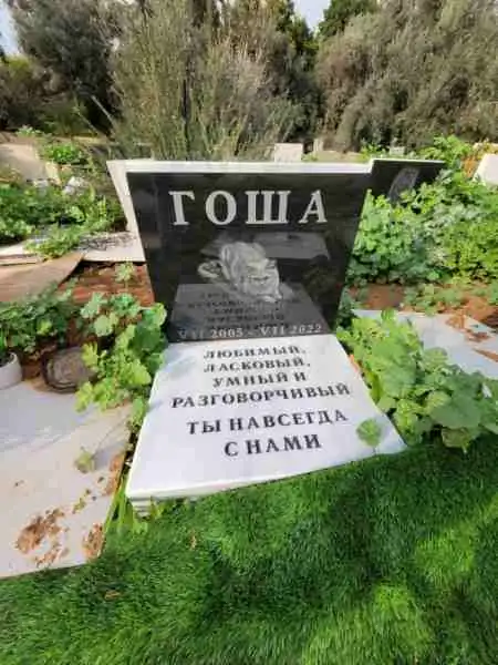 בית קברות לכלבים