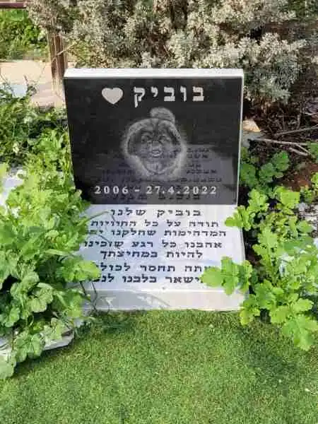 בית קברות לכלבים