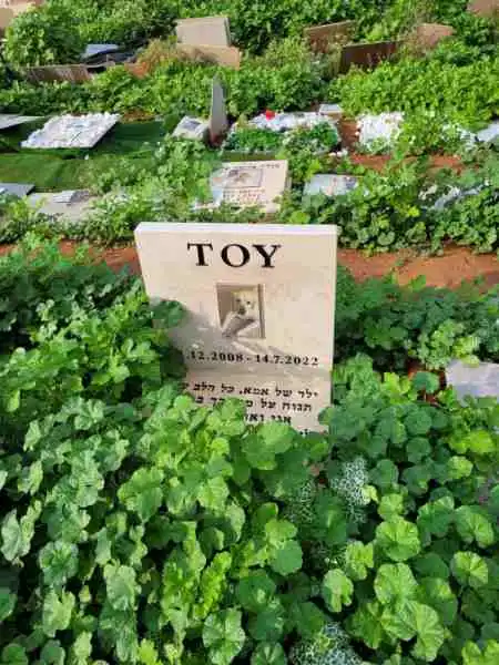 בית קברות לכלבים