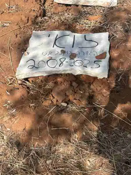 קבורת זואי הכלב