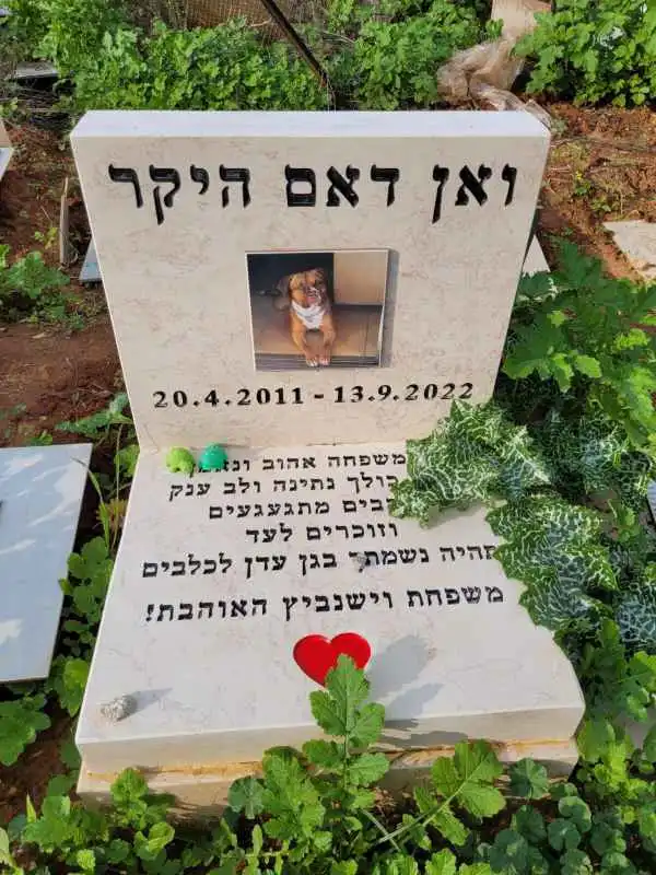 קבורת כלב בפתח תיקווה