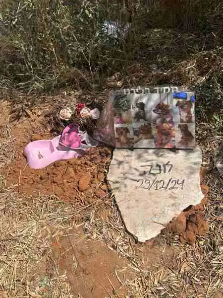 קבורת לונה הכלבה