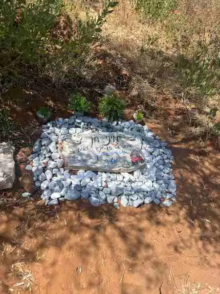 קבורת מיני הכלבה