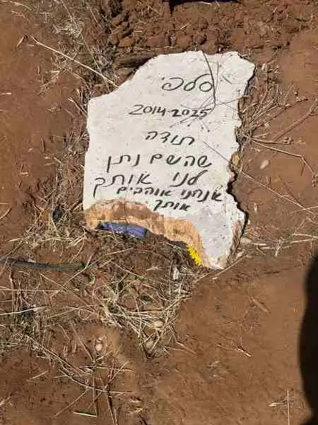 קבורת סלפי הכלב