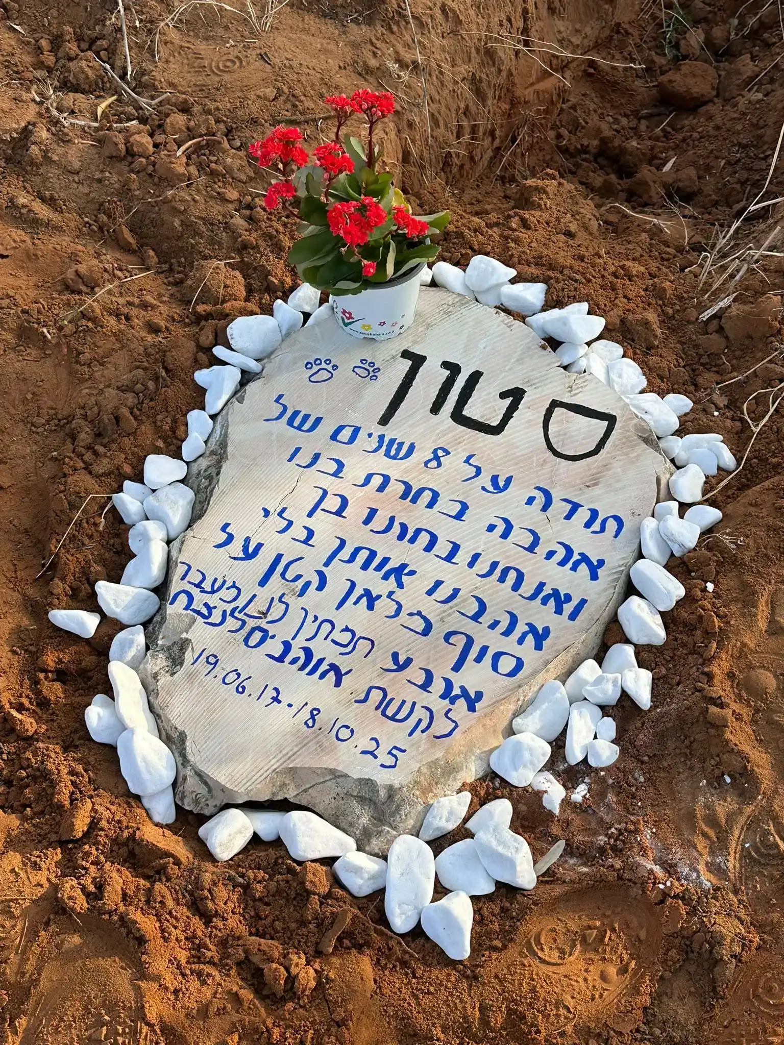 גוני בית קברות לחיות סטון