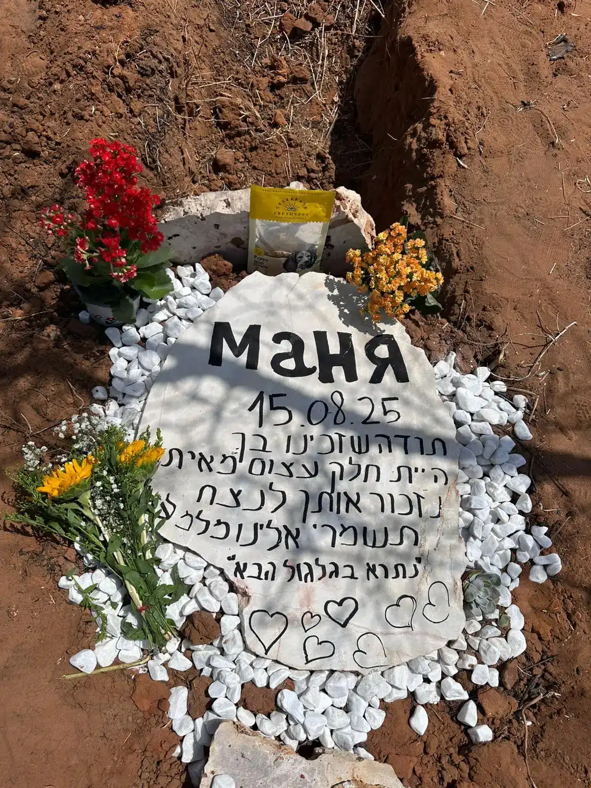 קבורה לכלב1