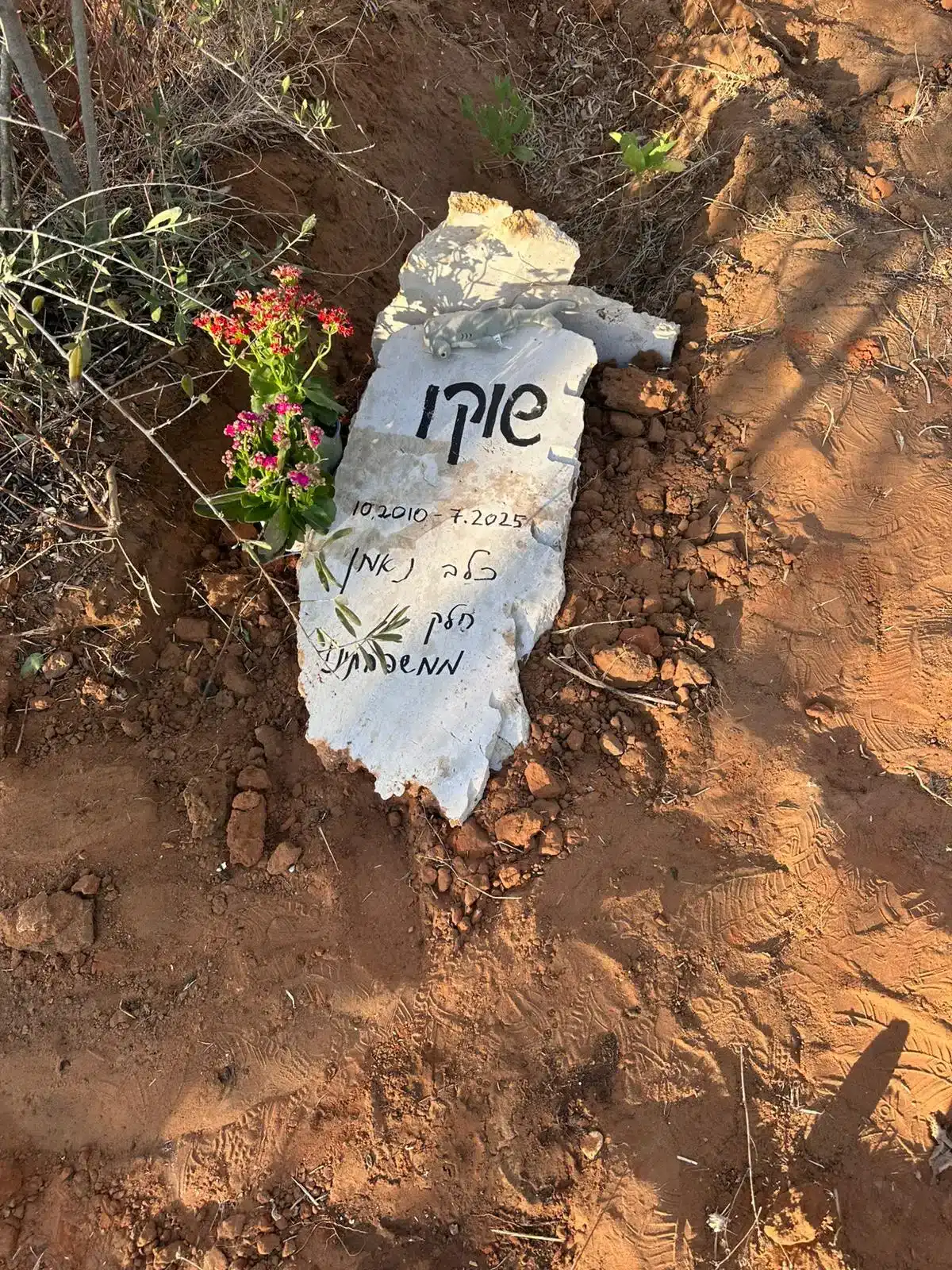 קבורה לכלב4