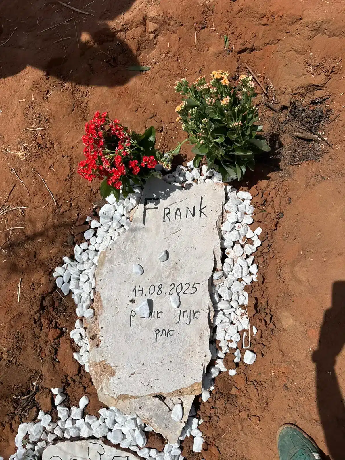 קבורה לכלב6