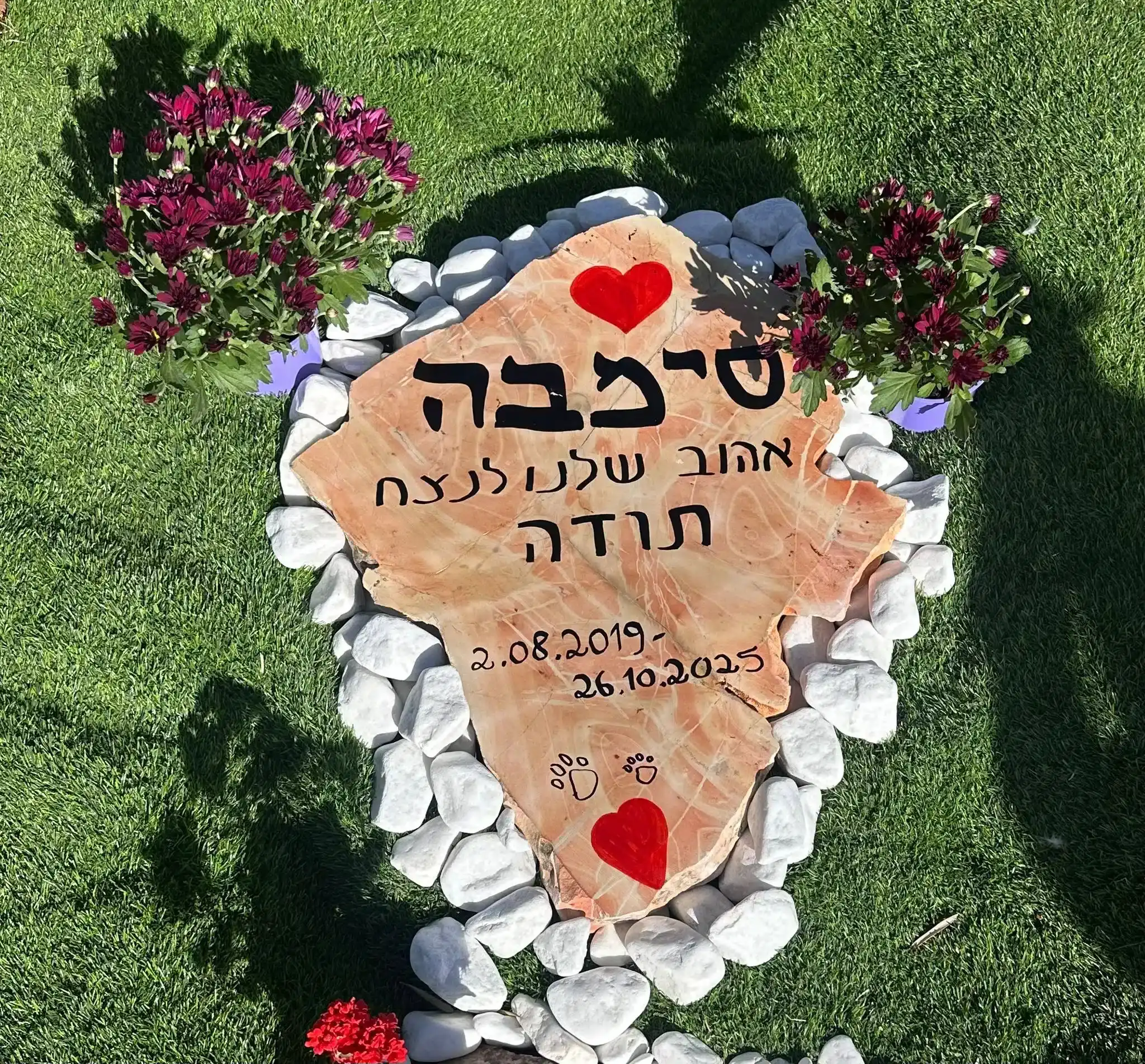 קבורה לכלב8